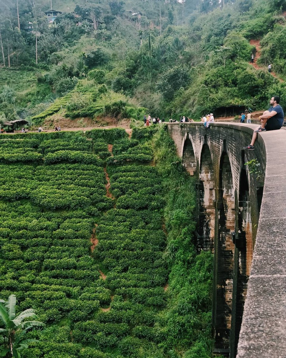 NatureSriLanka1's tweet image. Good morning #SriLanka 🤩❤️🌻
#9RB 🙈