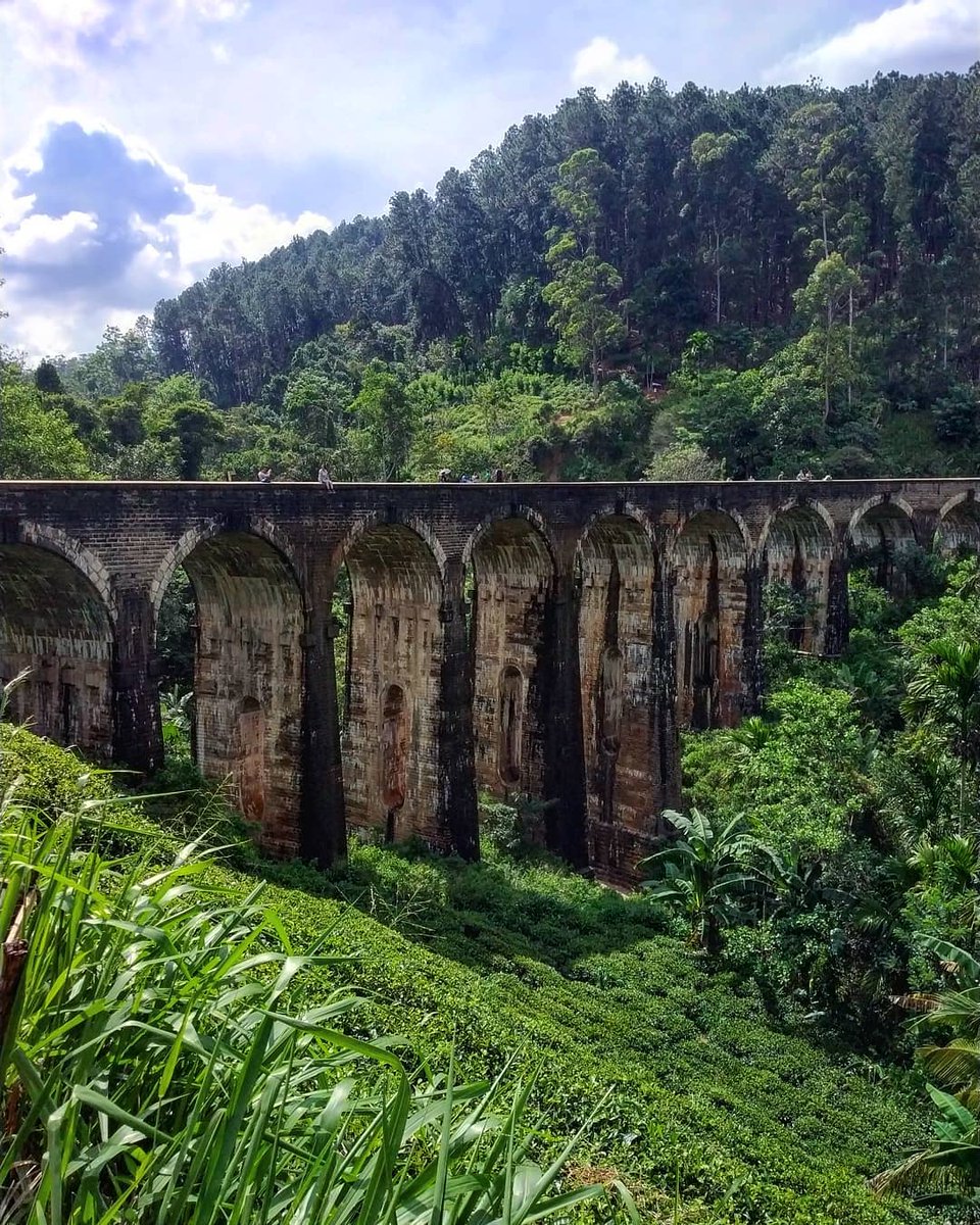 NatureSriLanka1's tweet image. Good morning #SriLanka 🤩❤️🌻
#9RB 🙈