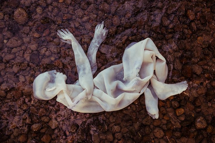 Archillect (@archillect) on Twitter photo 