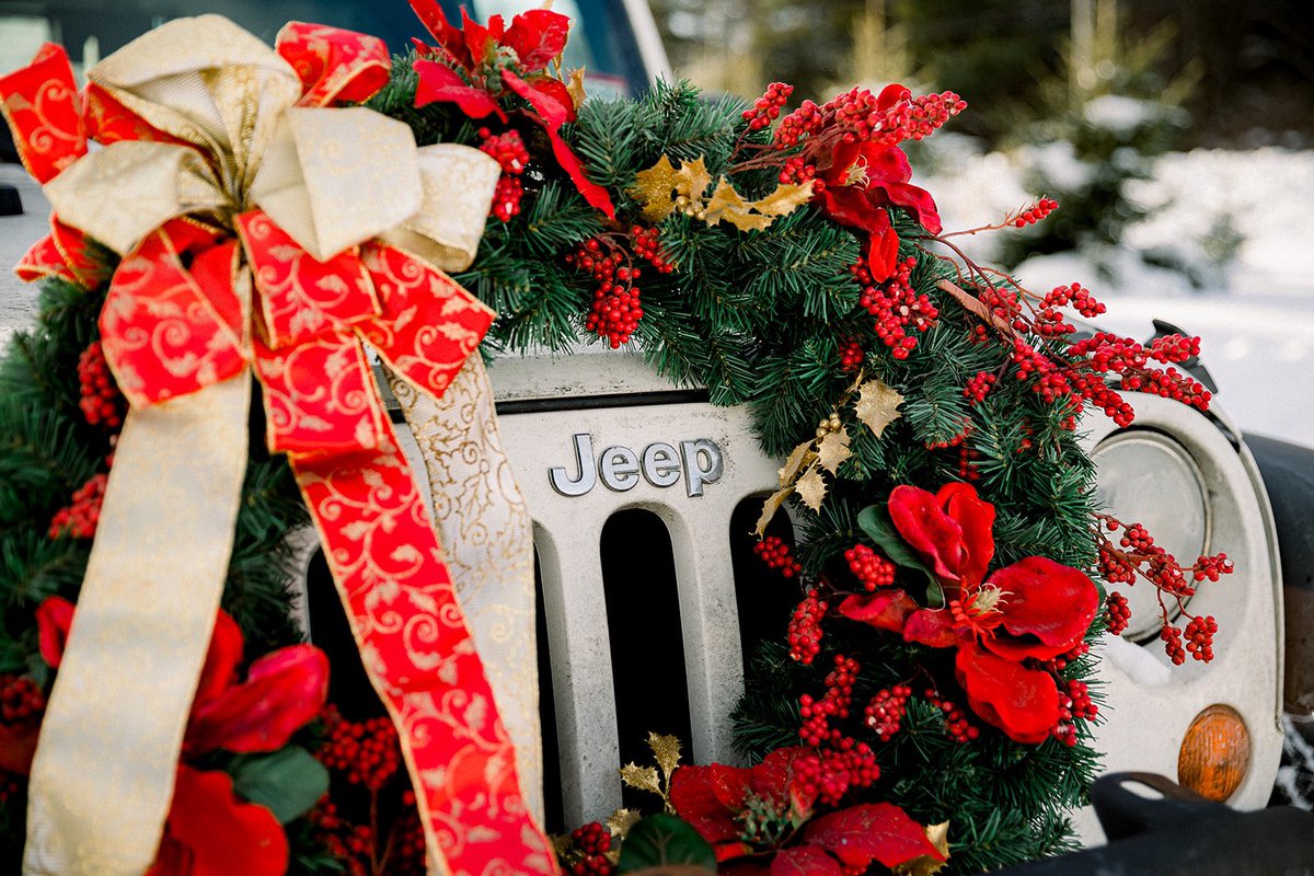 hellogreenfern's tweet image. Merry Christmas from the Green Fern sleigh! 🛷🌿