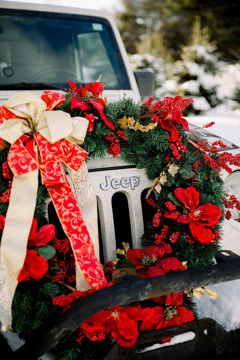 hellogreenfern's tweet image. Merry Christmas from the Green Fern sleigh! 🛷🌿