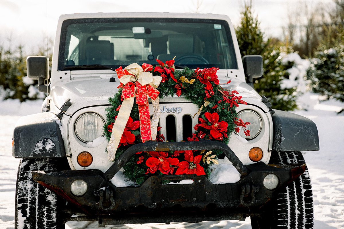 hellogreenfern's tweet image. Merry Christmas from the Green Fern sleigh! 🛷🌿