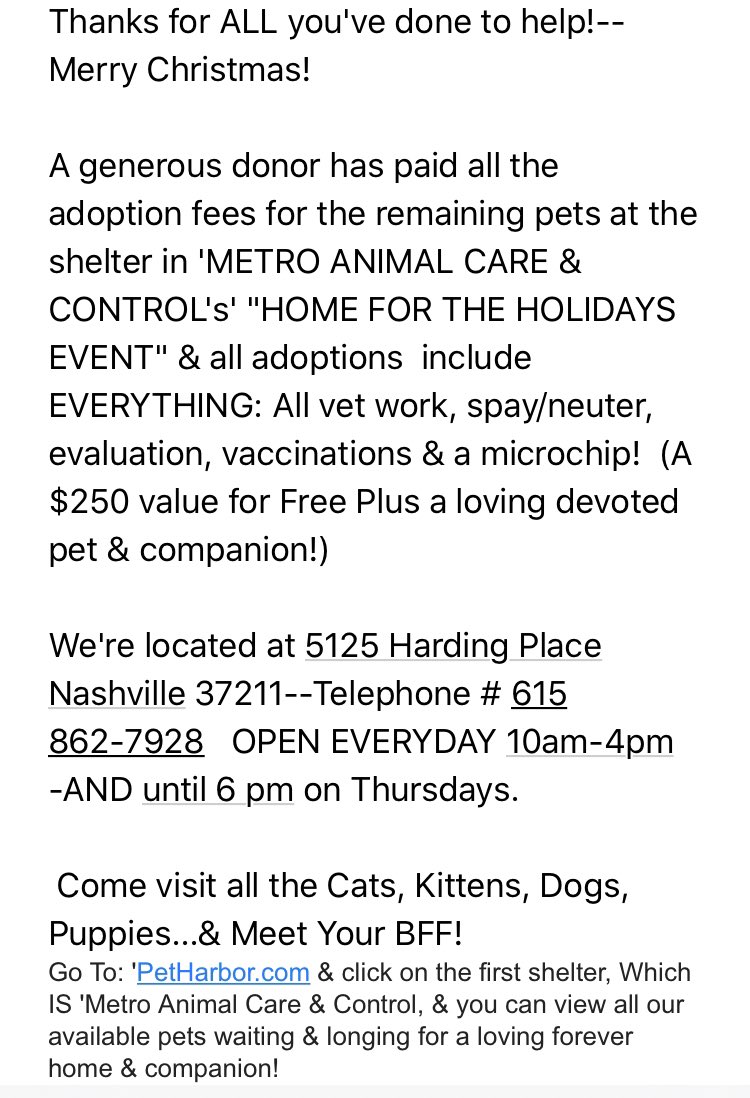 Wsmv News4 Nashville On Twitter Who Wants A New Free Four Legged Family Member