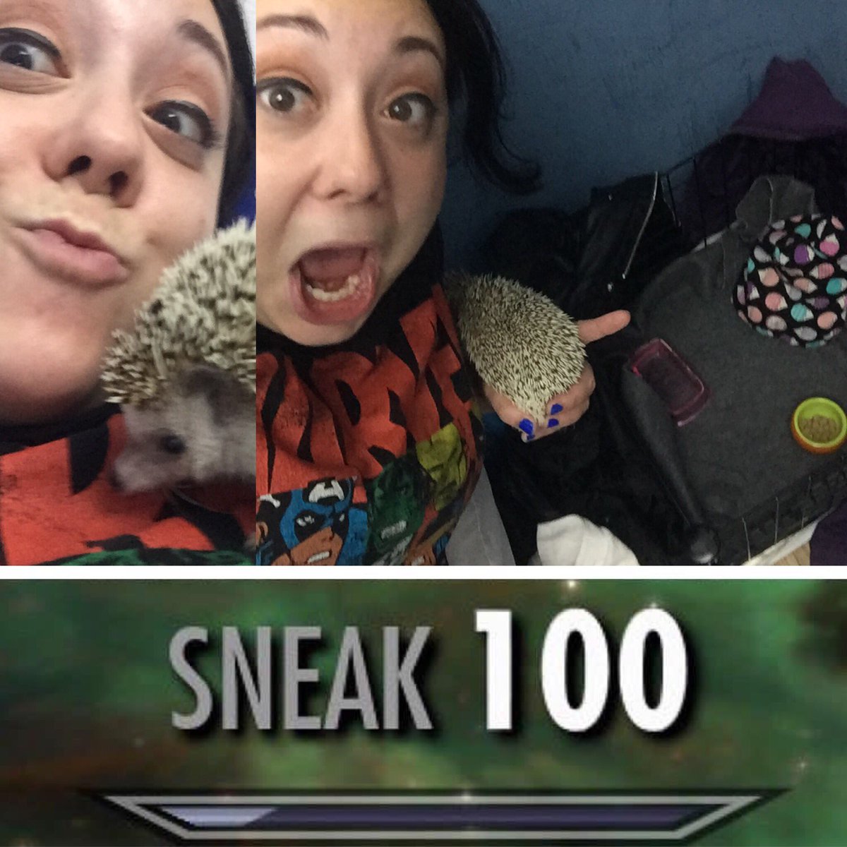 Kathleenmms321's tweet photo. Sneaking your pet hedgehog into your hostel and setting up a little cage for her without getting caught. #sneak100 #stealthroll #rogue https://t.co/xBWs4FLZ6O