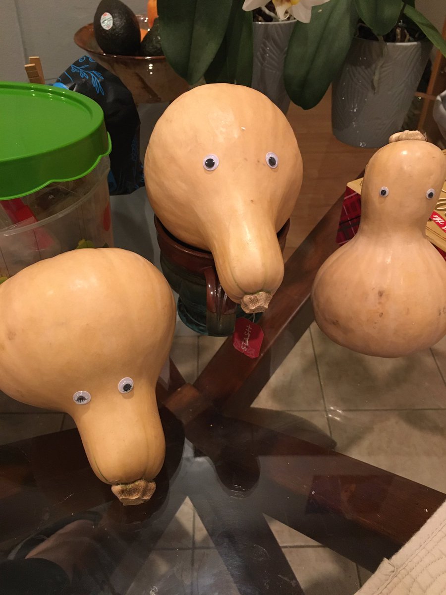 I should never have bought these googly eyes...