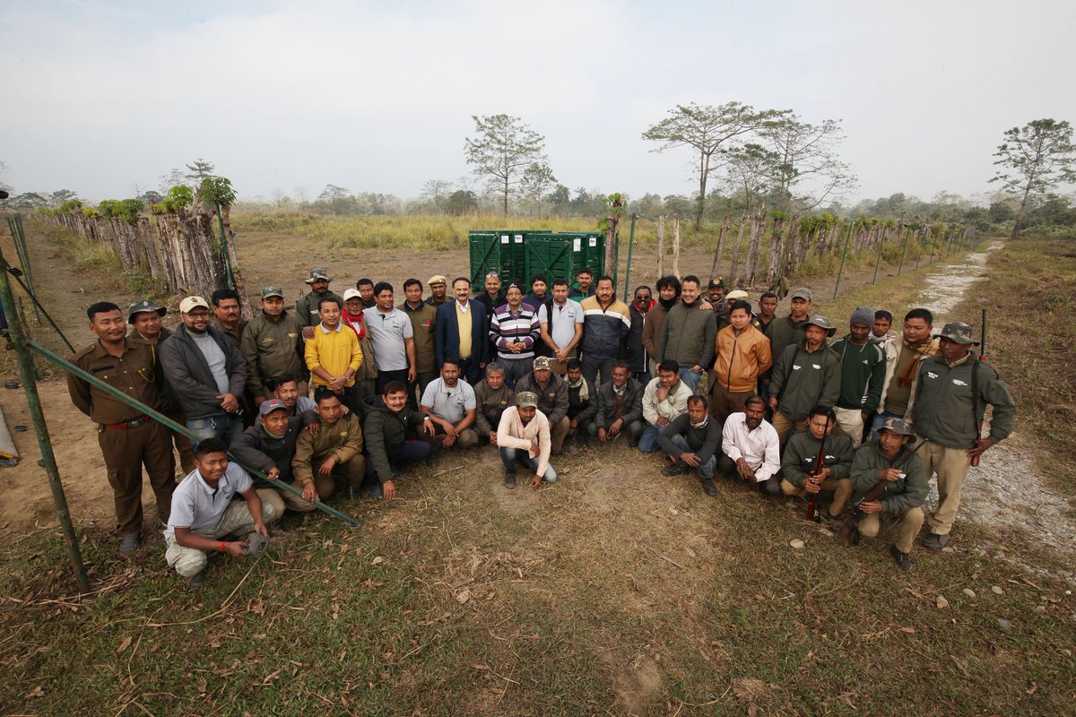 wti_org_india's tweet photo. Proud to have this magnificent team at work #AssamForestDepartment @action4ifaw #rhino move, #BringingBackManas https://t.co/T0EXdTUgCJ