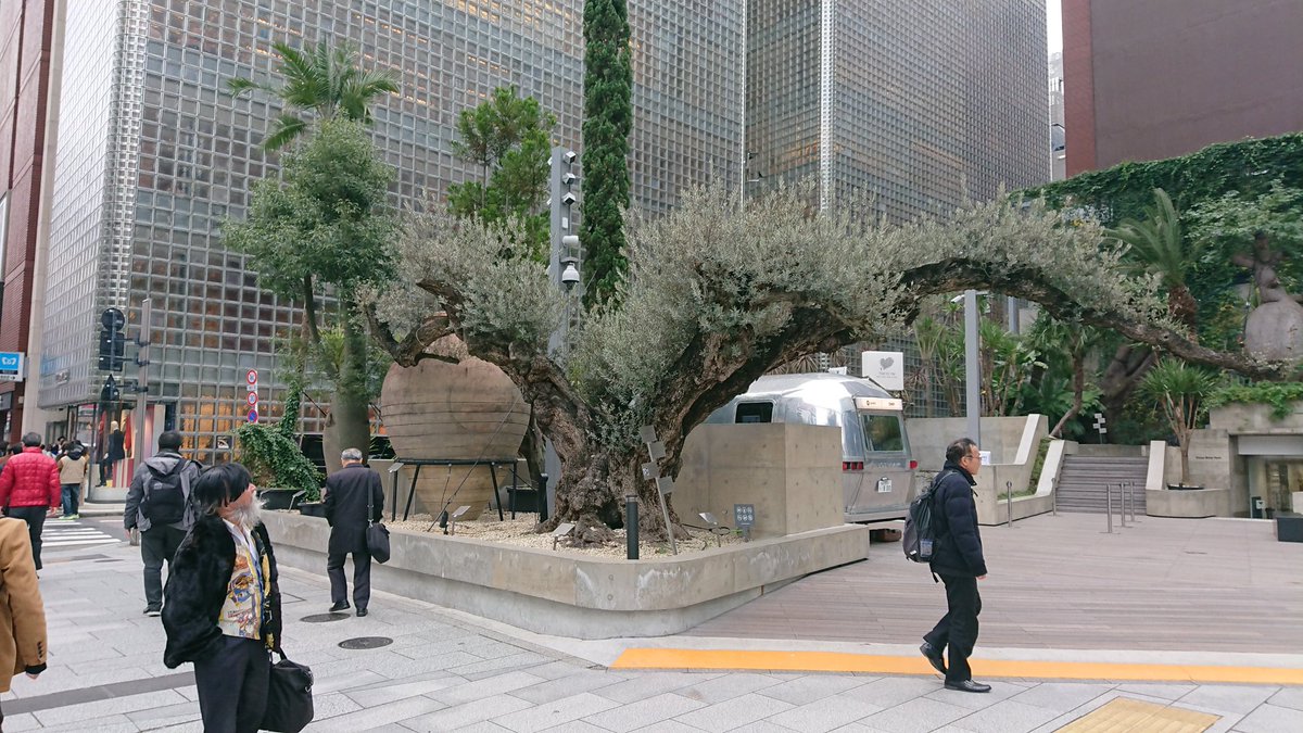 ok_amirom's tweet photo. Nishihata Seijun's art work in Ginza Tokyo. Tremendous trees! 

We Sanjo city are supposed to work with him very soon.  I'm very happy.

26 December 2019 in Ginza Tokyo.

#hiking #trekking #hikingadventure #tokyo #sanjo #green #piants #ginza https://t.co/XQffVYWKYd