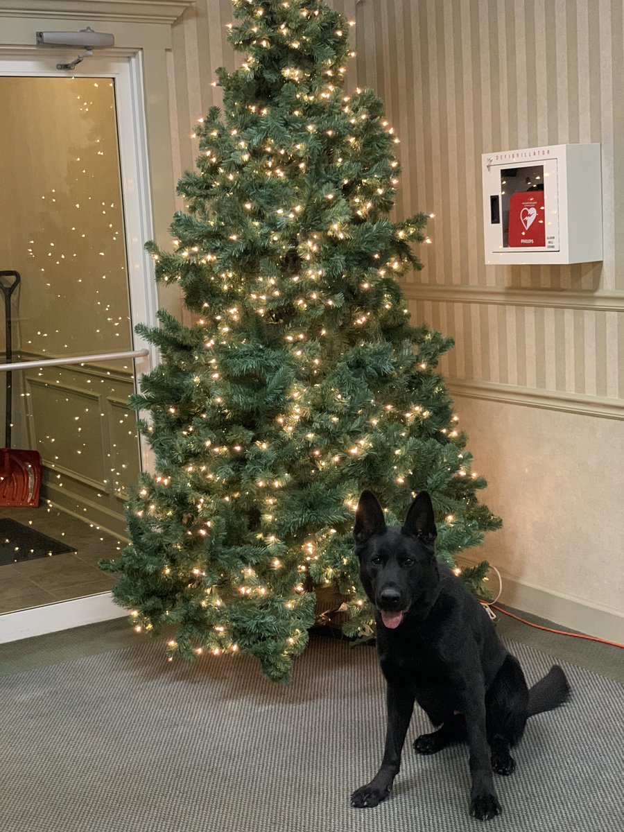 Merry Christmas everyone! I hope everyone had a wonderful day! #SCSO #K9 #MerryChristmas