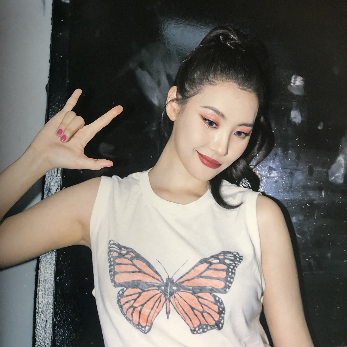 h_miyya's tweet image. 약간 가시나포토북이 생각나기도 하고 그냥 예뿌다 넘,, 디자인은 진짜 딱 내스타일 😭❤️