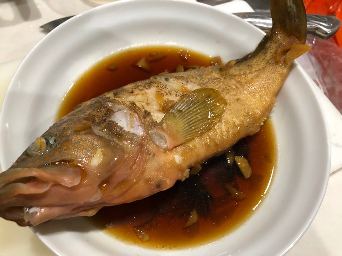 キジハタの特徴 見分け方 写真から探せる魚図鑑