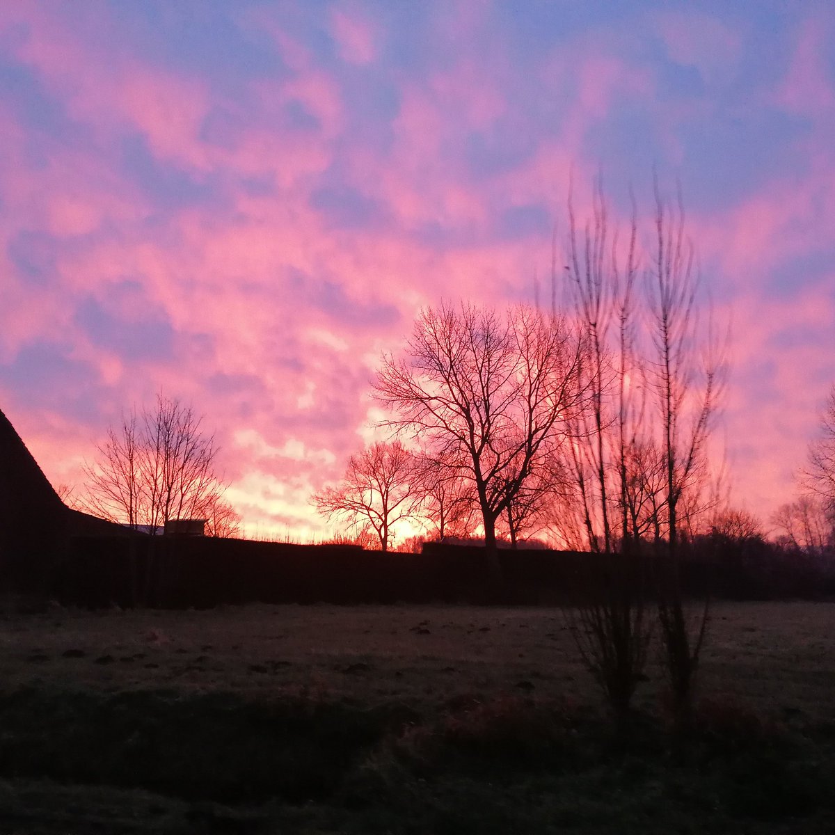 DeBeuleSam's tweet image. What a beautiful sky this morning! 😍