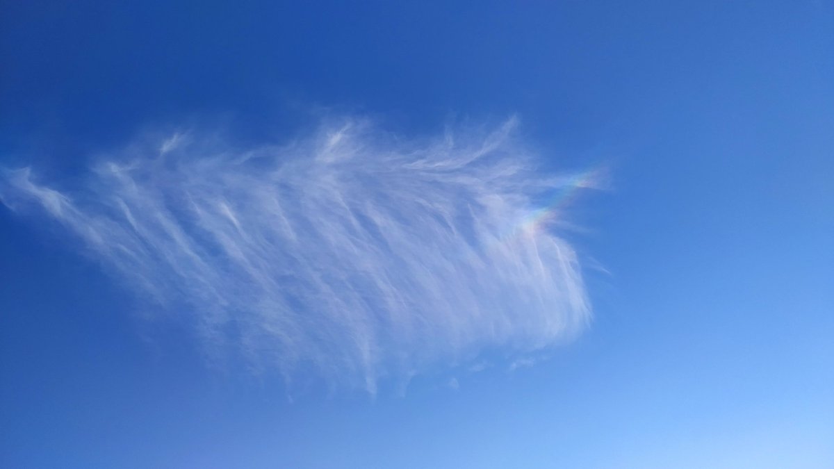 NeneConCristo's tweet photo. @EarthquakeChil1 feliz Navidad  Meteo, ésta imagen la tomé hoy en Zumpango de Ocampo, Estado de México en la tarde. En la primera observamos una irisdicencia , y la segunda una extraña formación de nubes. Soy Un venezolano en México . saludos, un abrazo https://t.co/tSjrkgWKII