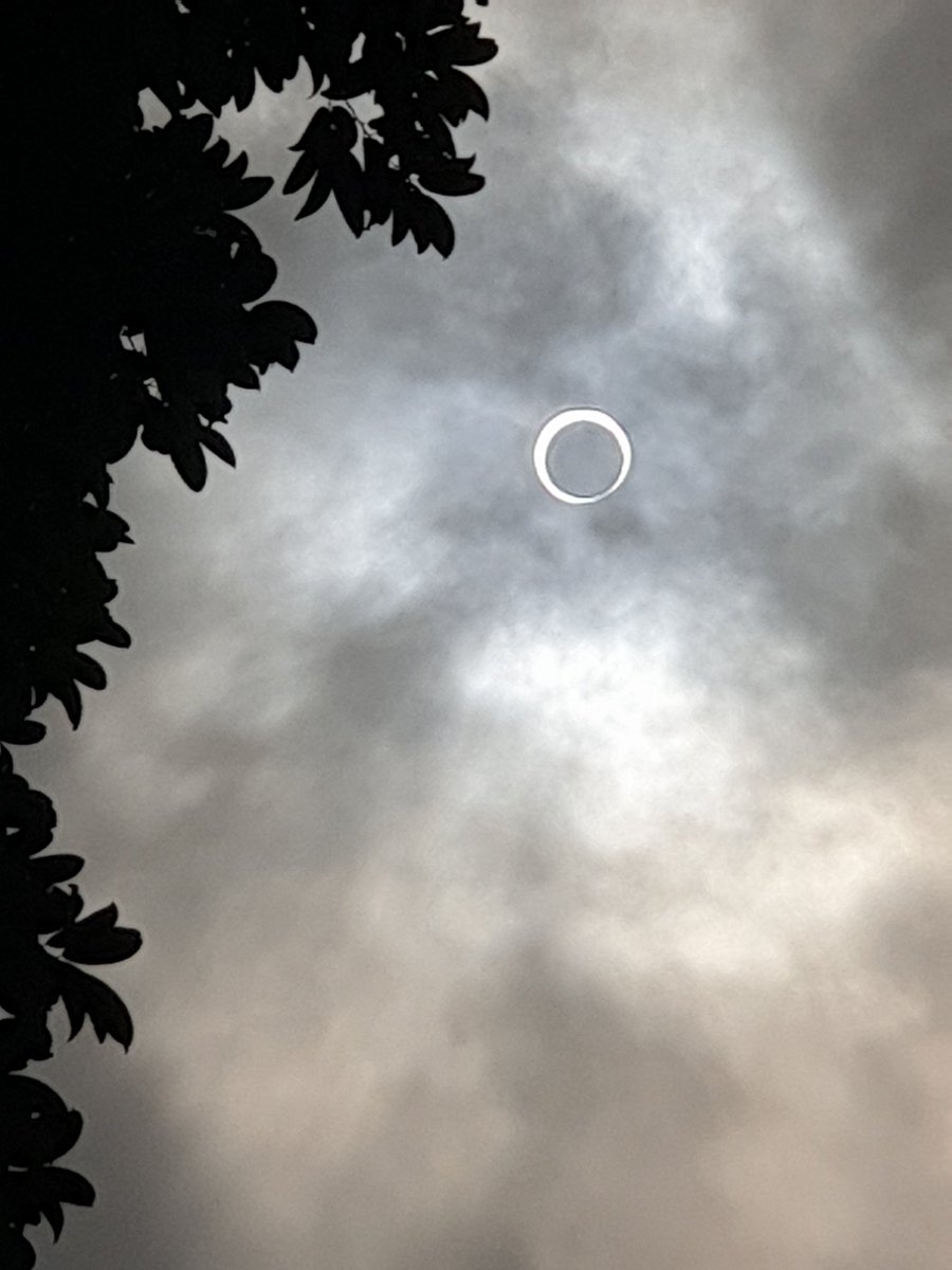 ForestsNew's tweet photo. #fullsolareclipse in #singapore https://t.co/fJnczSrfzO