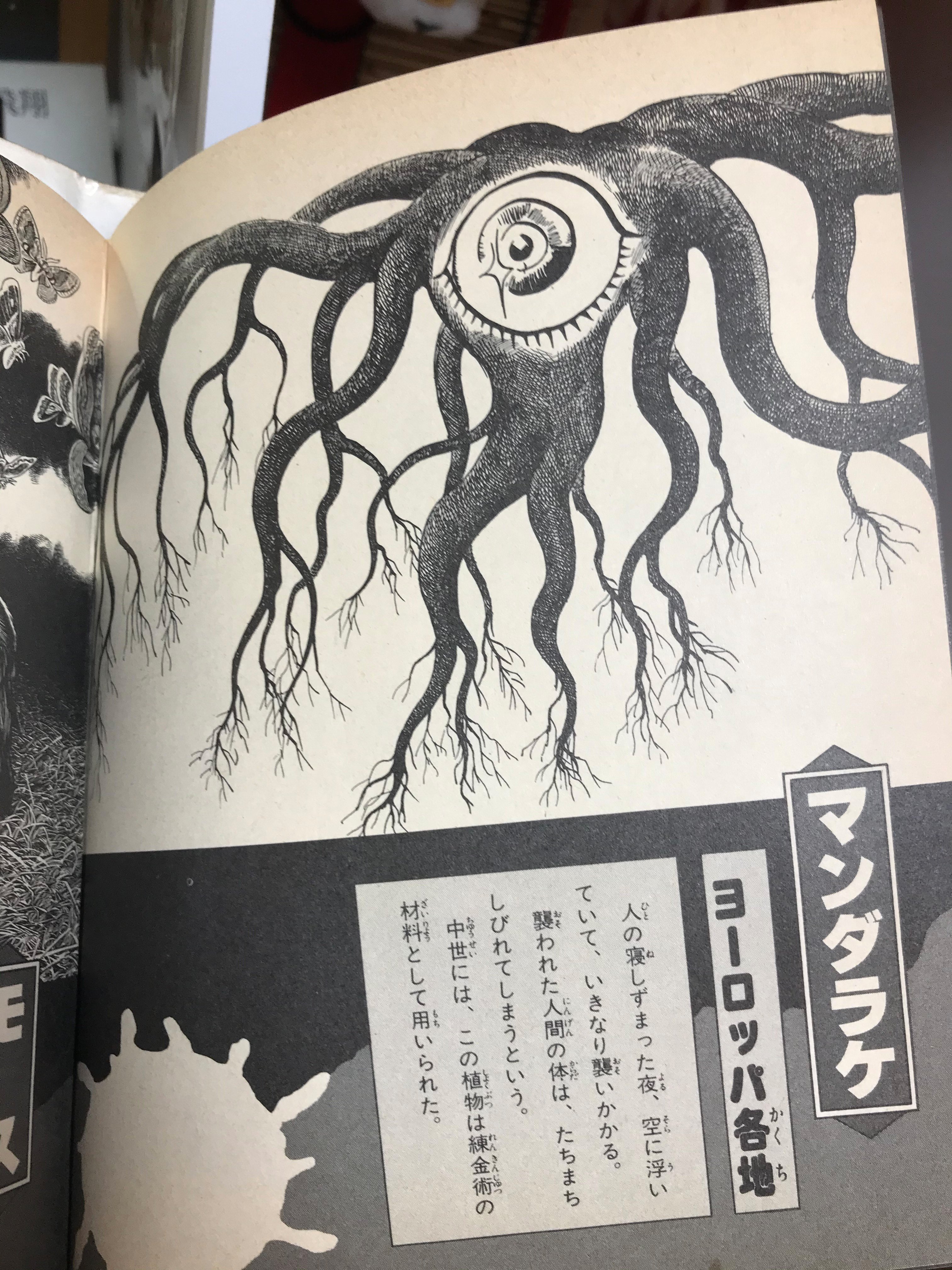 Amazon.co.jp: 5157－3 超 水木しげる叢書 全10巻 付録2点付き