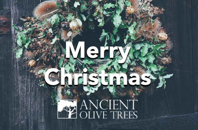 Merry Christmas from Ancient Olive Trees Olive Oil
🎄🌳🎄🌳🎄🌳
#Christmas #oliveoil