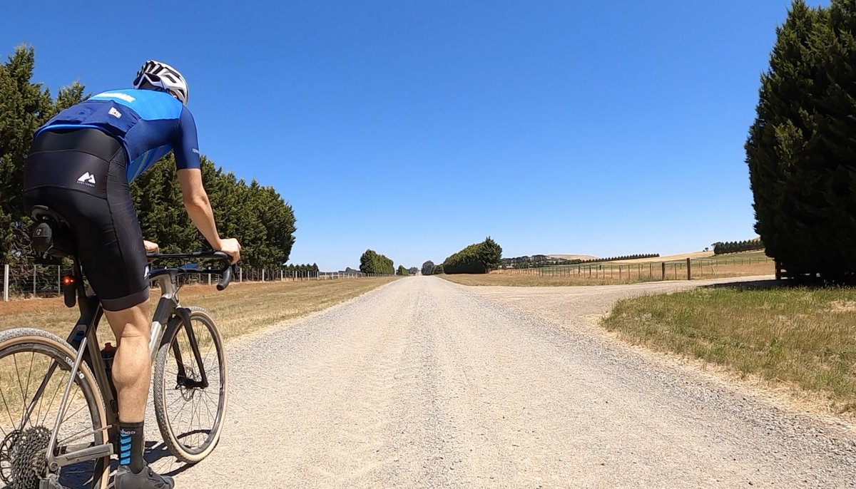 Shane Miller 🦙 tweet media