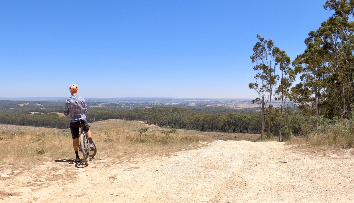 Shane Miller 🦙 tweet media