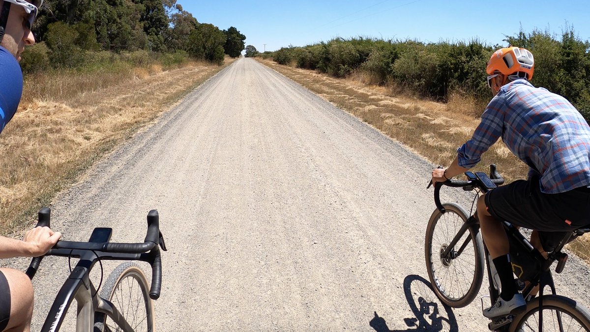 Shane Miller 🦙 tweet media