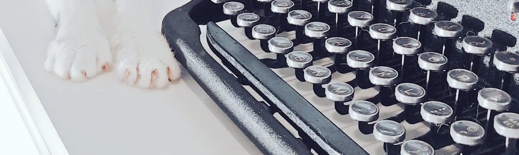 Many apologies, my human is currently unavailable.

Should other humans need to contact him, please leave a box of doughnuts and your reason for requiring his assistance at the penthouse door.

Thank you,
Elizabeth the 3rd