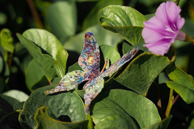 Some inspiration from Vietnam. I received this picture from tropics. I really love being where I am ❄️☃️🌨️ but sometimes I dream to fly worldwide instead of our products ✈️🌴 ☀️🌈
⁠
Thank you <a href="/danulis/">Danulis Rodriguez</a>
⁠
#tropicvibes #vibesofhandmade #butterfly #feltbut… ift.tt/2MuJBCP