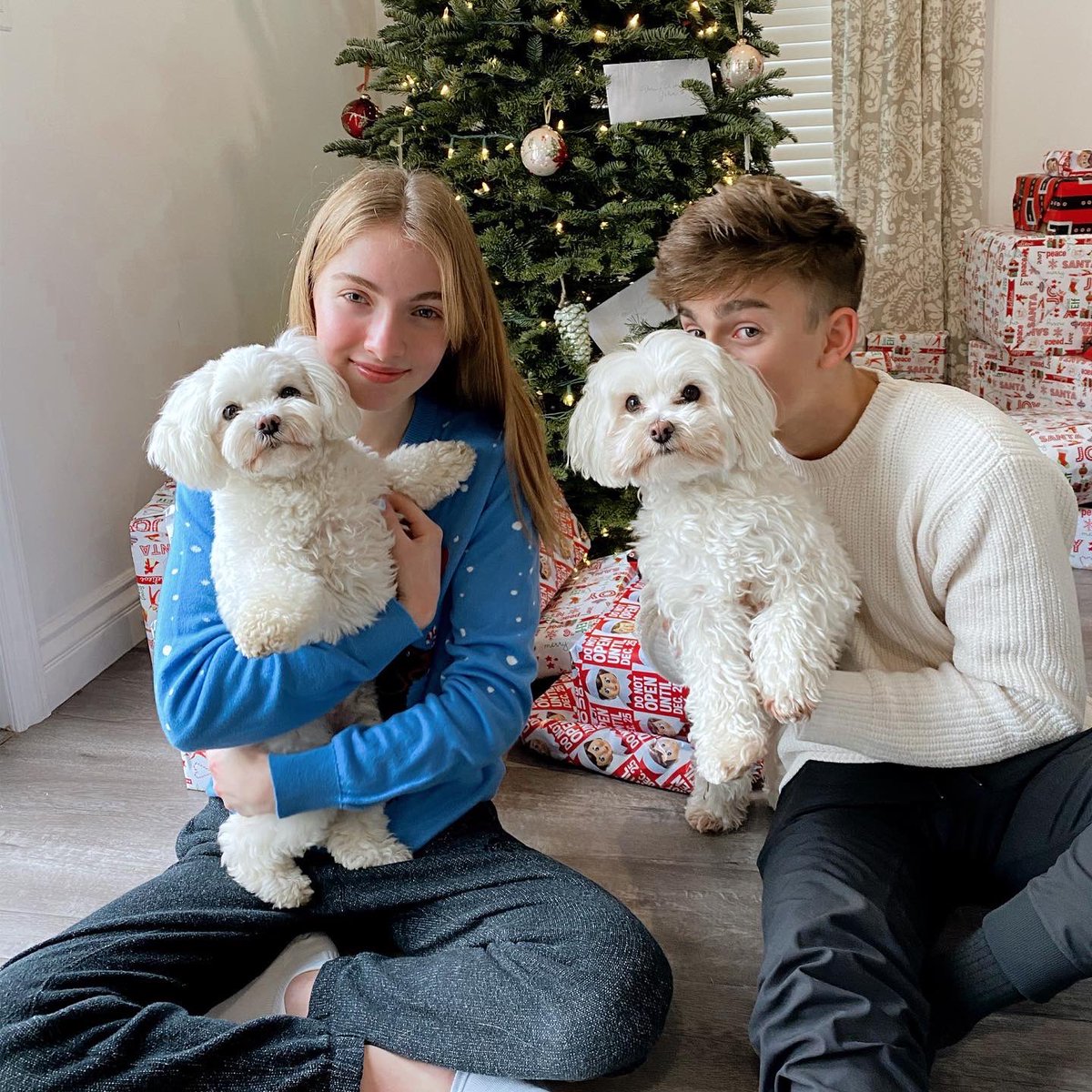 LaurenOrlando's tweet photo. merry christmas :) https://t.co/cBU2AemhKs