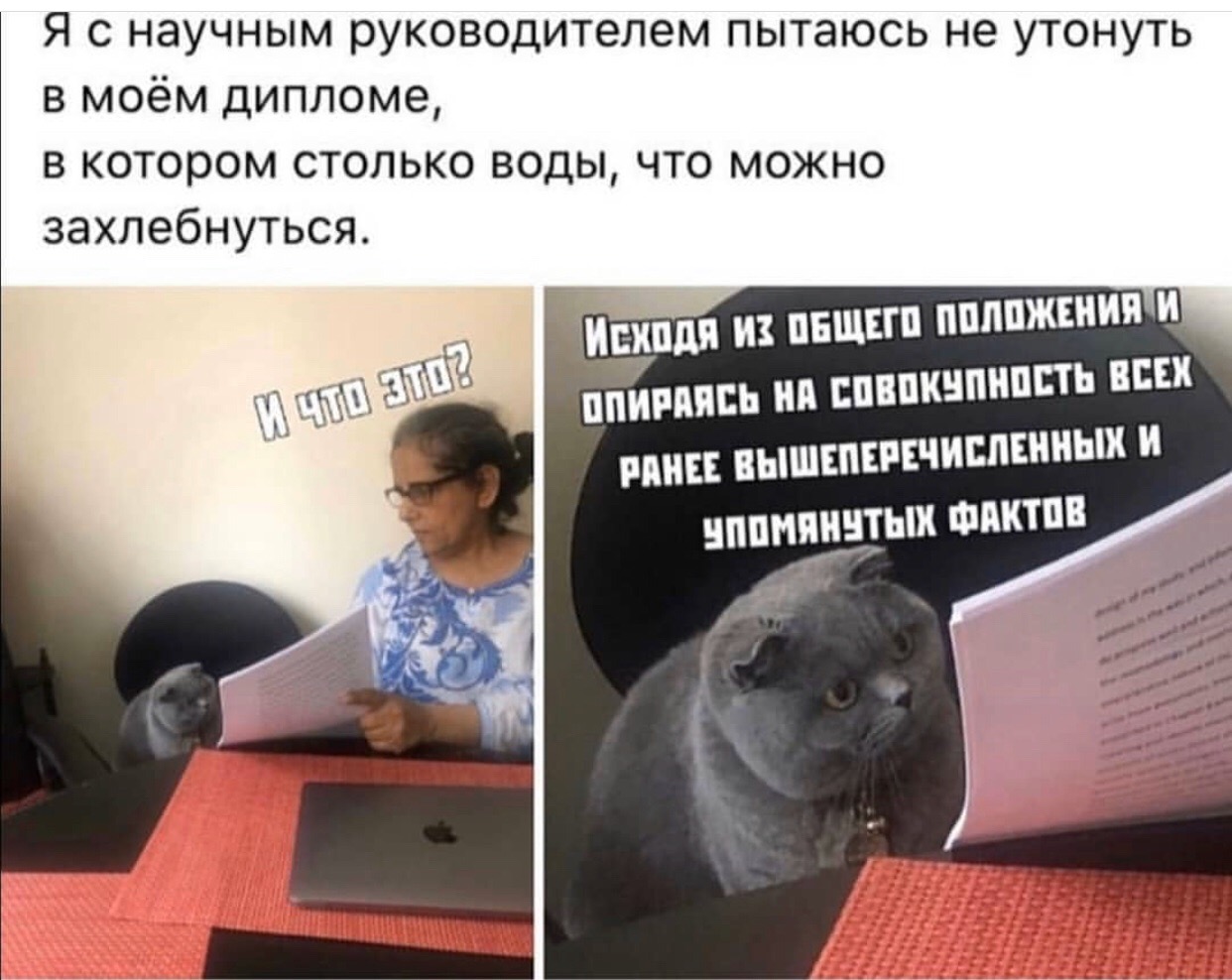 Приколы про дипломную работу в картинках