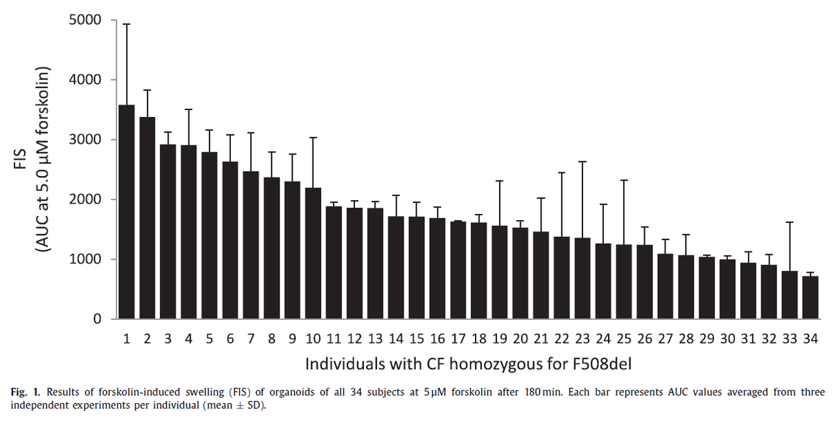 Intestinal organoids function varied between #cysticfibrosis subjects with homozygous F508del, correlates with pulmonary and nutritional parameters and may underly clinical heterogeneity. #JournalCF ow.ly/9NzJ50xCPvV