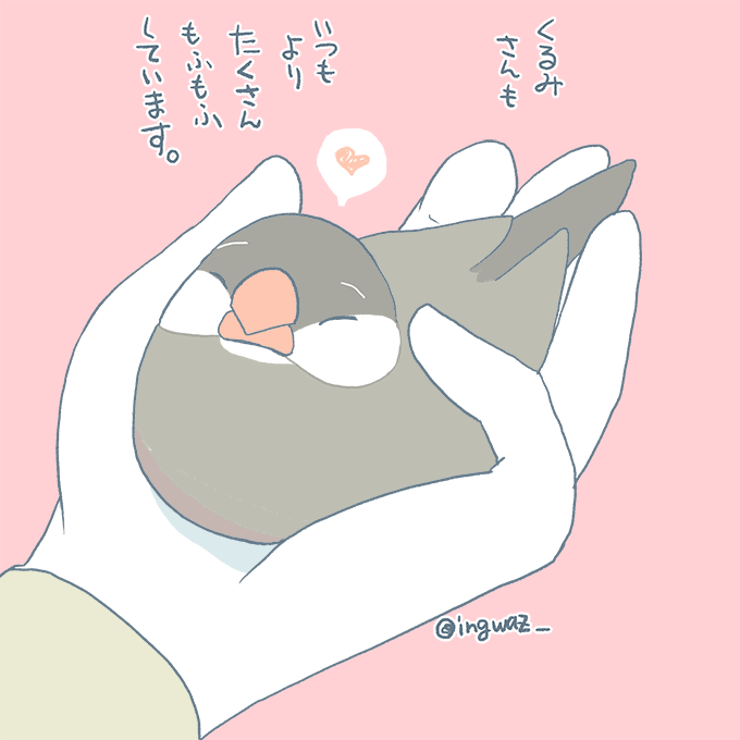 かえでさんを長くだっこする時は、くるみさんに特に気を付けてすぐあとに、じっくりだっこするようにしています。
#buncho #javasparrow #文鳥