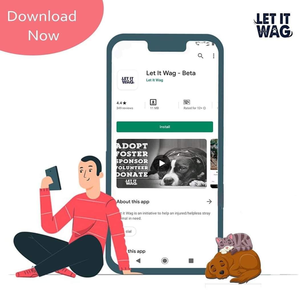 Adopt, rescue, foster, volunteer and donate using Let it wag application, link in bio.
Do your bit for the voiceless
.
.
.
.
#adopt #adoption #adoptdontshop #fosterdog #fostercareadoption #rescue #animalrescue #animalrescueteam #petslife #petsofinstagram #wag #kindness #love