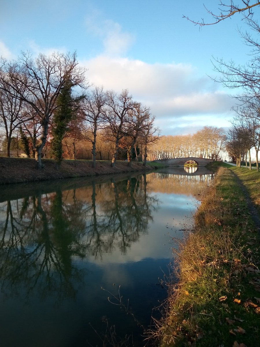 #JeudiPhoto #CanalDuMidi #Toulouse #Lauragais #Occitanie