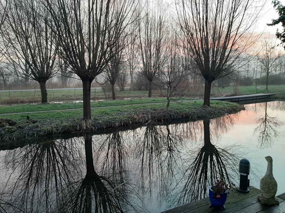 ToetGouda's tweet photo. Serene stilte in mijn achtertuin met mooi uitzicht. https://t.co/Bcg4Ns8AvC