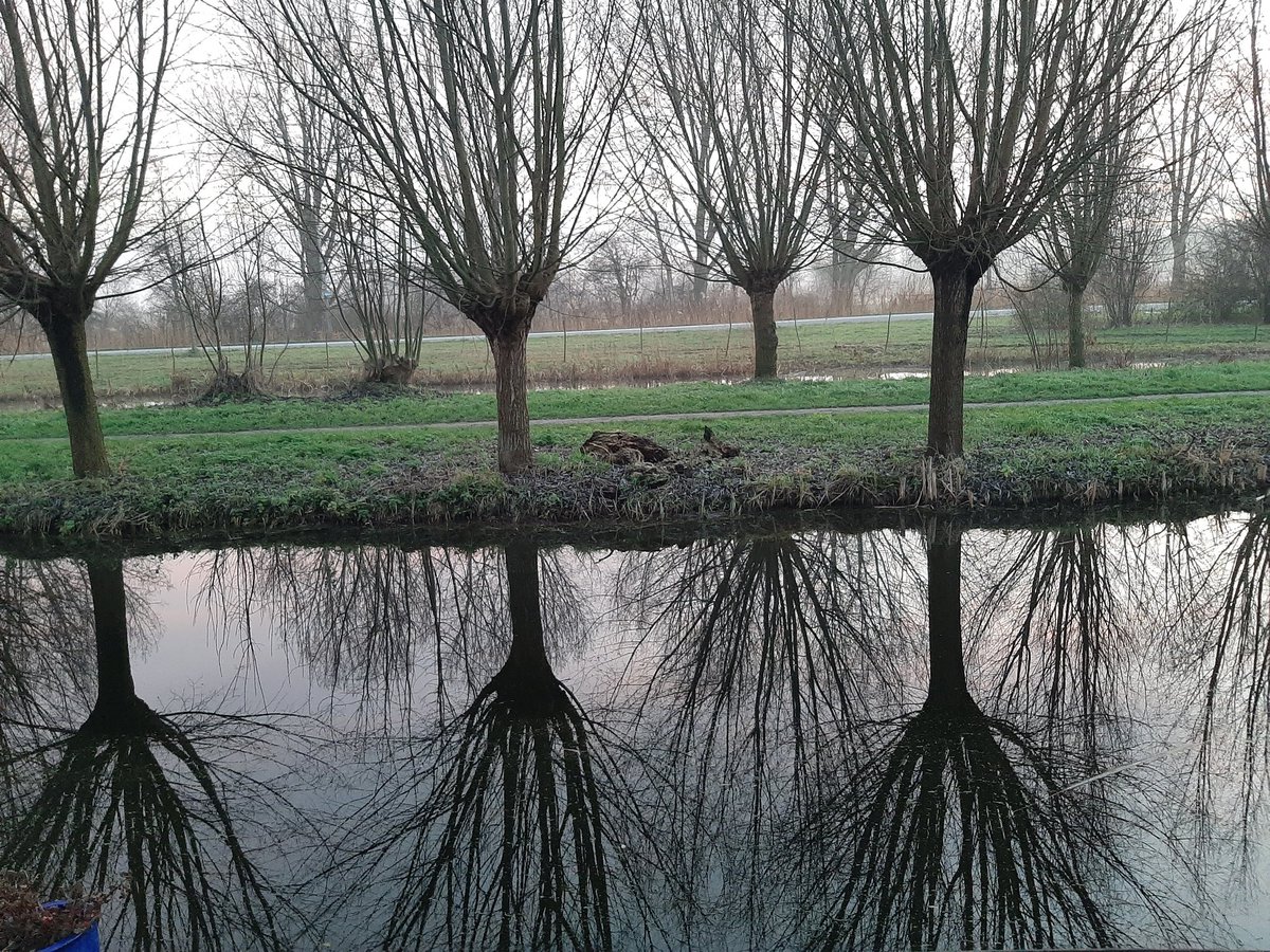 Serene stilte in mijn achtertuin met mooi uitzicht.