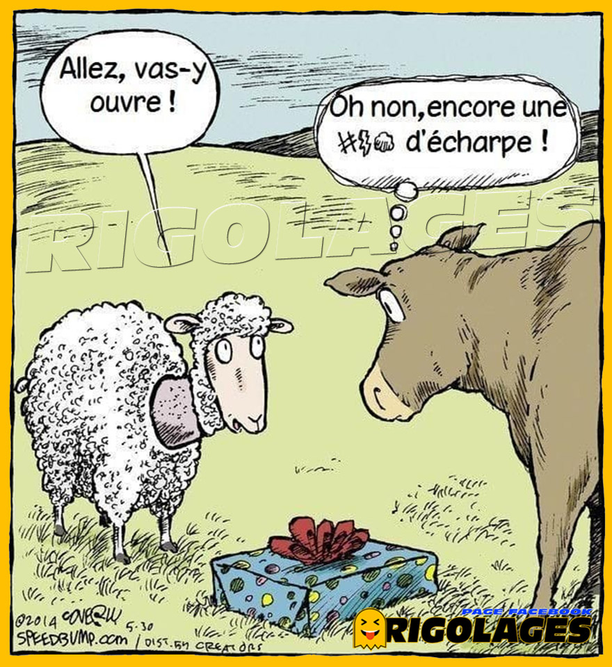 Gratuit Images Rigolages On Twitter Rigolages Humour Dessin Cadeaunoel actualisé par