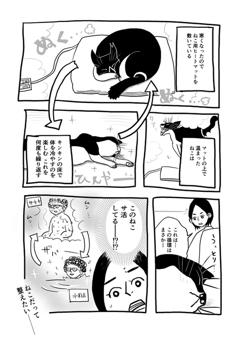 整えねこ #うちの双耳峰トマとオキ 