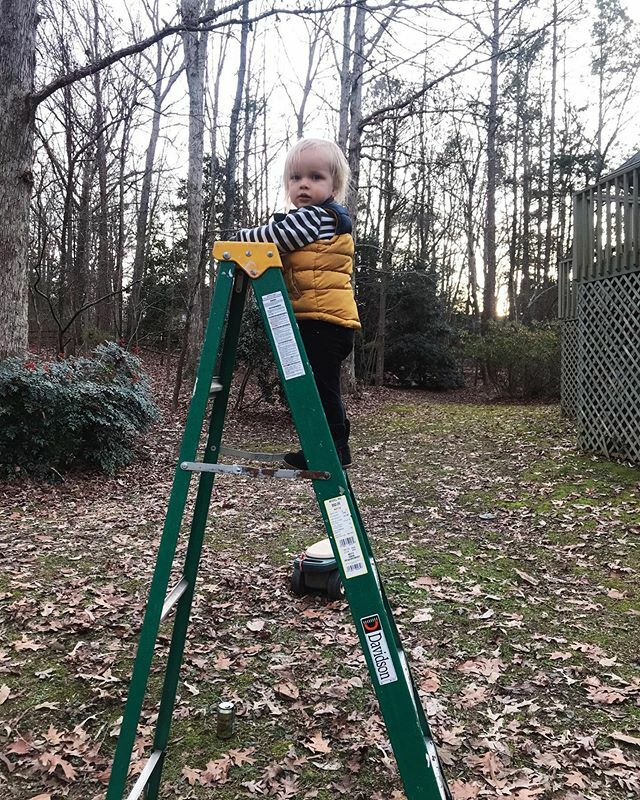 This lad has an increasing interest in ladders and climbing! (When he gets to the top he reaches up and meows 😂.) Fireman Roald? ift.tt/34ZaNjA