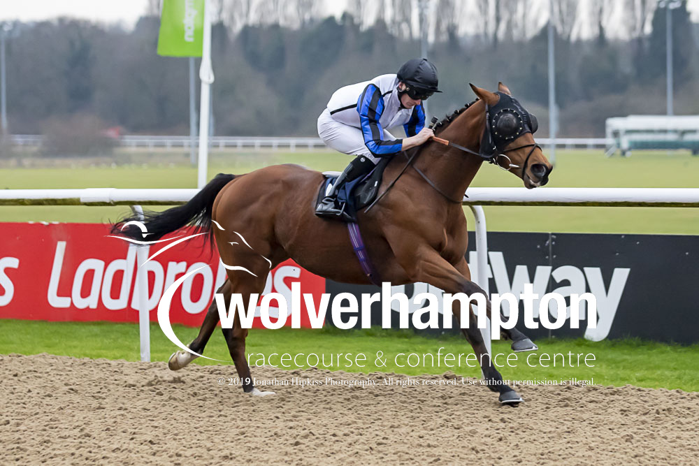 WolvesRaces's tweet photo. Our first race of the day sees a comfortable win for GHAITH!
Massive congratulations to @greatrex77 and @DaveLoughnane_ on a great ride.
Thank you to our race sponsors @Bombardier_beer
Next race at 14.15
@awchamps
#AWChamps
📷@WolvesRacesPics https://t.co/znlIf1MYkb