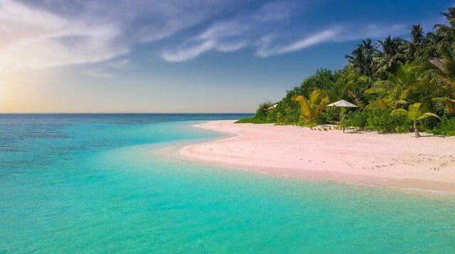 RealSaltLife's tweet image. There is only 177 days until summer... But who’s counting? 🏝

#ThursdayThoughts #Summer2020 #beach #ocean #fishing #boating #diving #surfing #vacation #thursdayvibes #salty #SaltLife 

RT, LIKE &amp;amp; TAG for a chance to win some Saltlife.com #swag or a #couponcode 💰