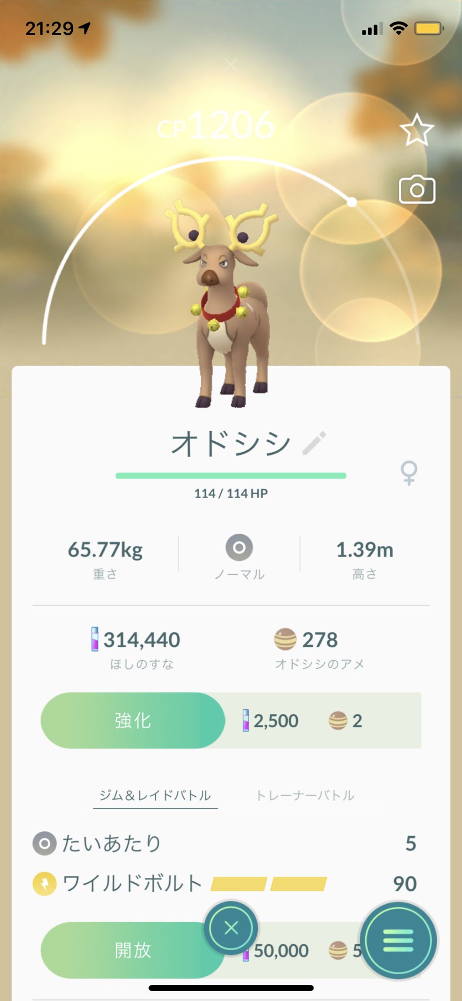 Uzivatel ジョニー小林 女子キャラ研究家 Na Twitteru ポケモンgo 今日のポケモンgo日記 12 26 クリスマス仕様のトナカイオドシシをレイドでゲットした 野生でもいるみたいだけど私は全く見かけない それよりも高個体の クマシュンが全然集まらない