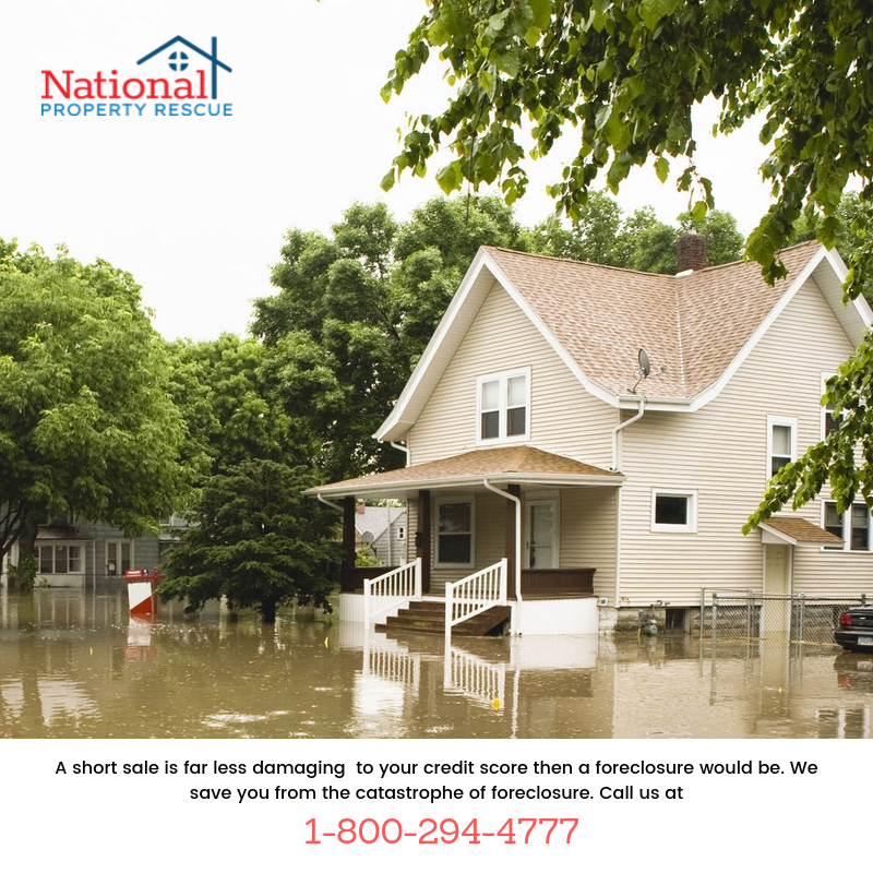 nprhelps's tweet photo. We have helped many communities get back on their feet and weather the storm. Let's get you out of foreclosure. Schedule your free consultation today 800-294-4777
https://t.co/KE9Gi1ZJNw
#affordablehousing #loanmodifications #shortsalespecialist https://t.co/KAMKxggWkO