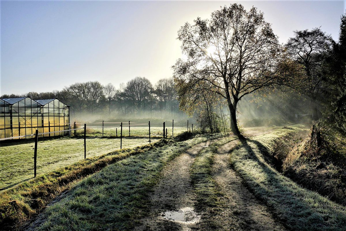 MooisteRoutes's tweet photo. Velden wandelen, In Velden of Wegen https://t.co/KhddQxOTC7
Deze wandeling voert u bijna geheel over onverharde paden door het meest zuidelijke deel van Nationaal Park #Maasduinen.
Vanuit Velden komt u eerst...
#Velden #Ravenvennen #Witteberg #wandelen #natuur #walking #nature https://t.co/IEATMN13LH