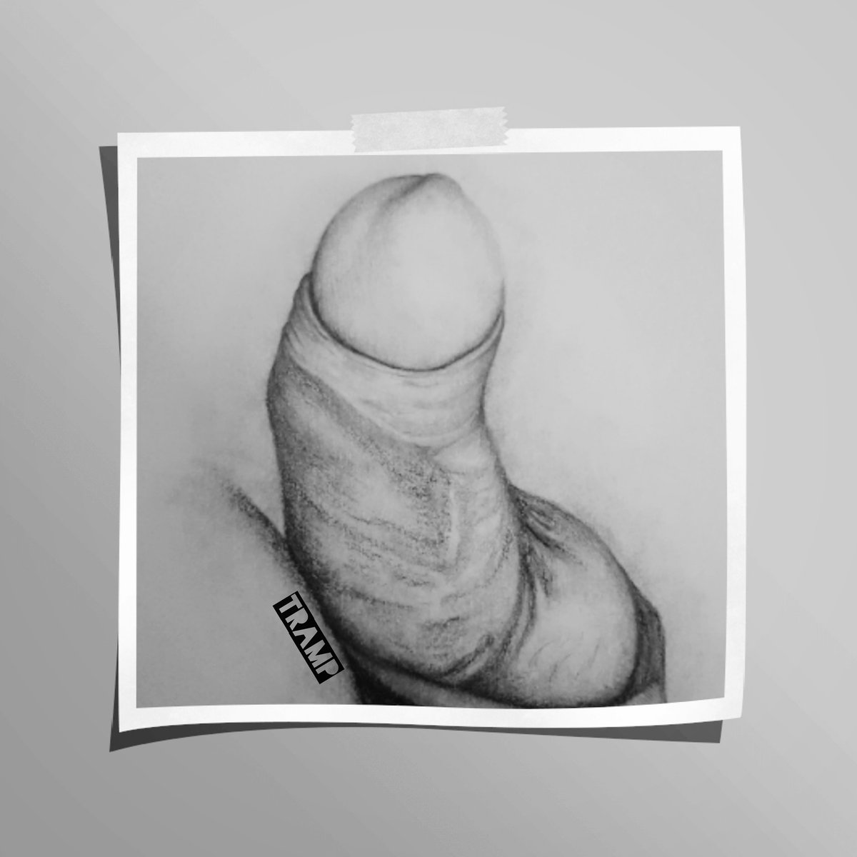 thetrampartist's tweet photo. Find me on instagram to see more drawings! 
#penisart #pencildrawing #graphite #dicks #cock https://t.co/oZJ7jI7p69
