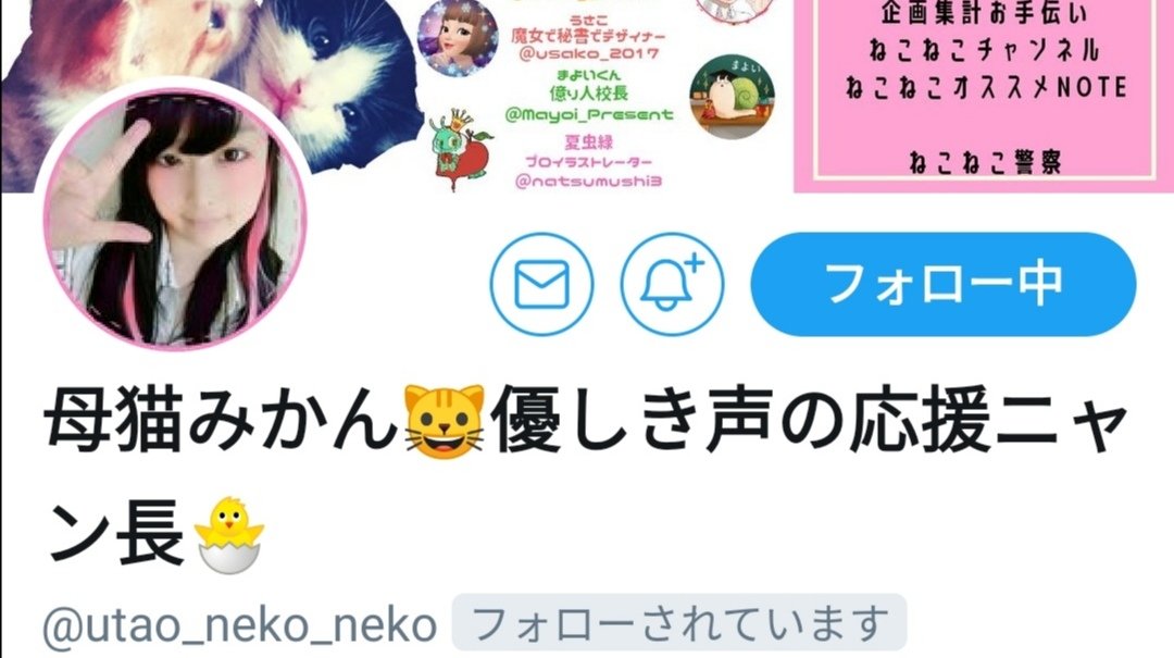 Panda_Gift__'s tweet photo. ②母猫みかんさん(@utao_neko_neko)

第48回プレゼント企画応募ありがとう😆💕✨ https://t.co/6Vs5t1lMMU