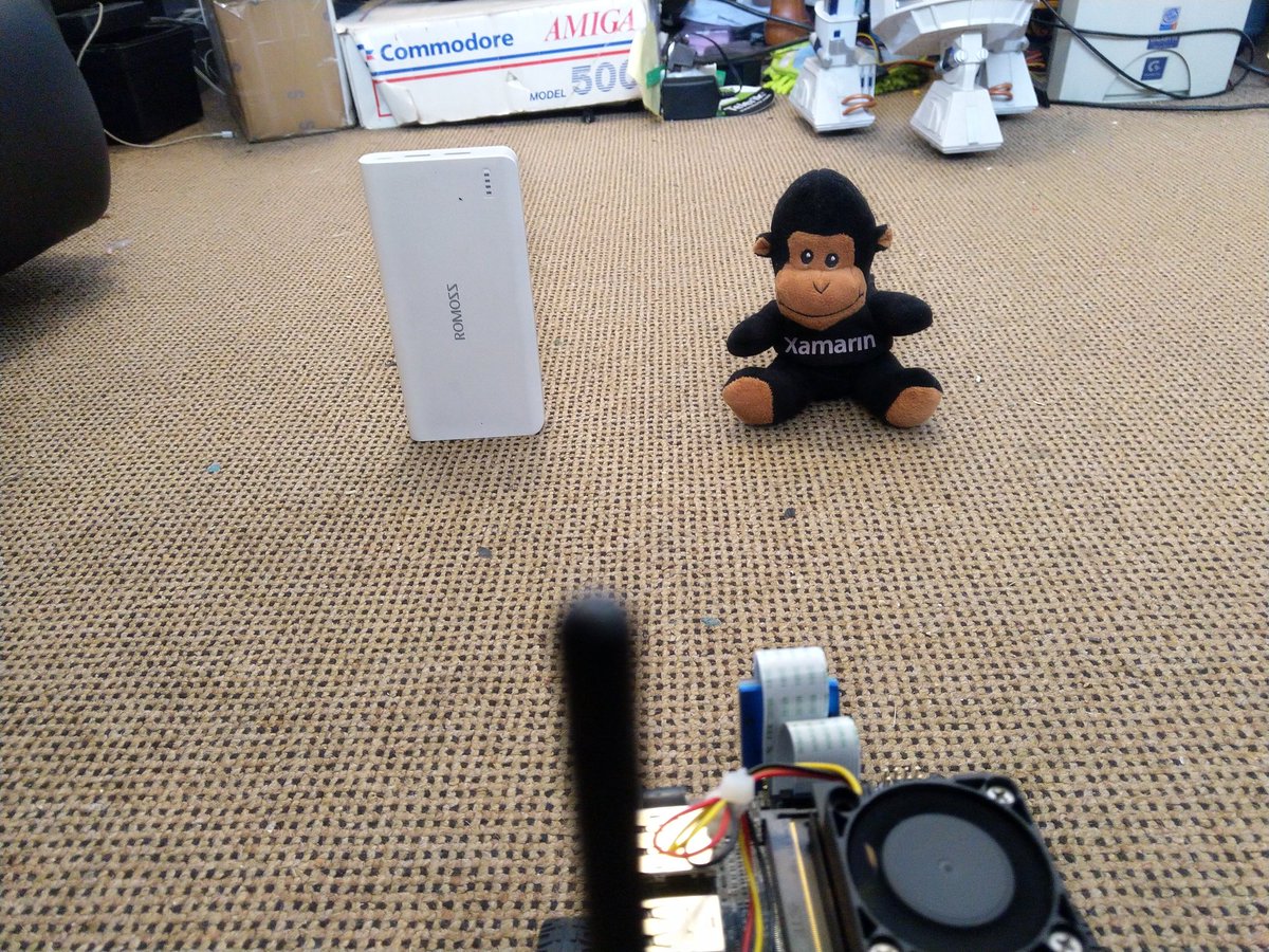 adpead's tweet image. Some bot fun. 😍  @NvidiaAI  @azure #iotedge #deepstream @MicrosoftIoT