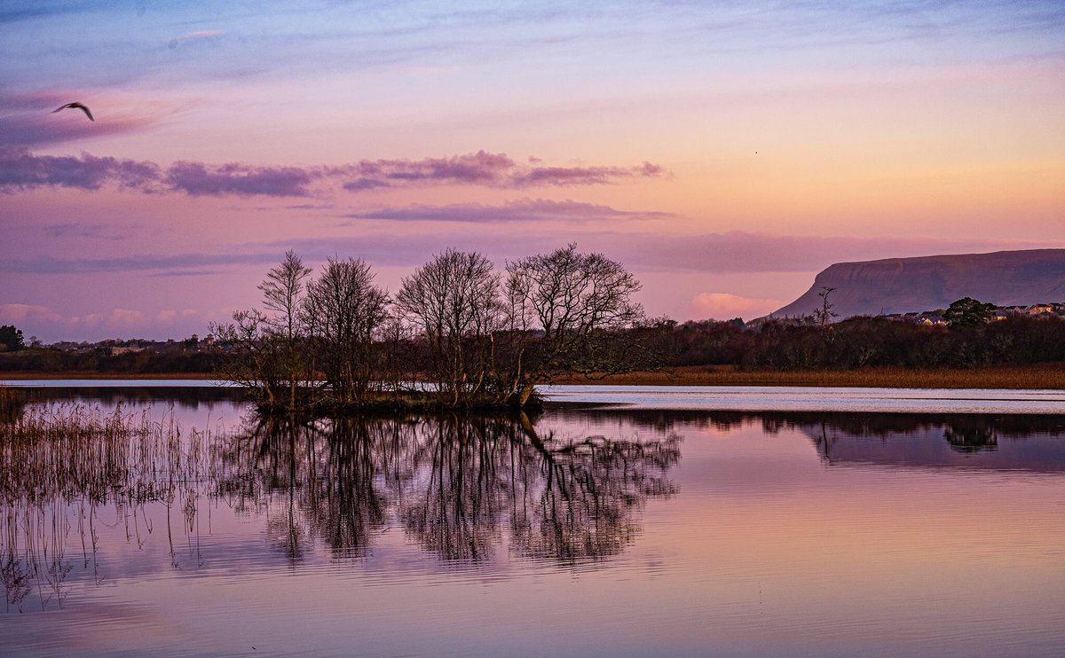 EdSligo's tweet photo. Sligo at dawn, Christmas Day 2019. #WildAtlanticWay #viewsnotqueues @sligotourism #shligoshtyle #sligowhoknew #sligo https://t.co/Wi1bbZ9Tiq