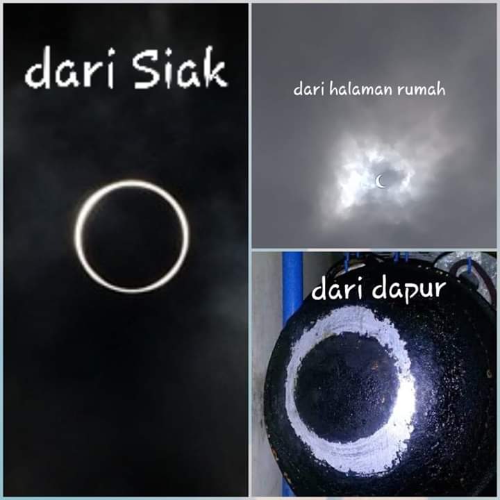 vie fawzi (@vieflower) on Twitter photo 