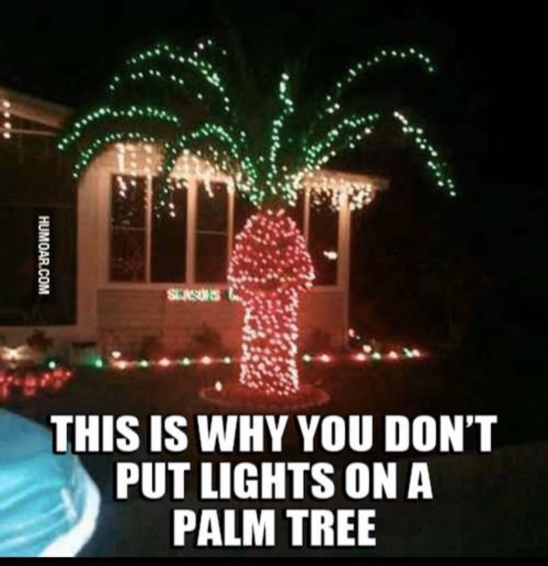 ArtDerotique's tweet photo. #xmas #Xmas #ChristmasDay #BoxingDay #ChristmasIsOverNowI #MerryChrismas #MerryChrismas https://t.co/ckBrNJKSYH