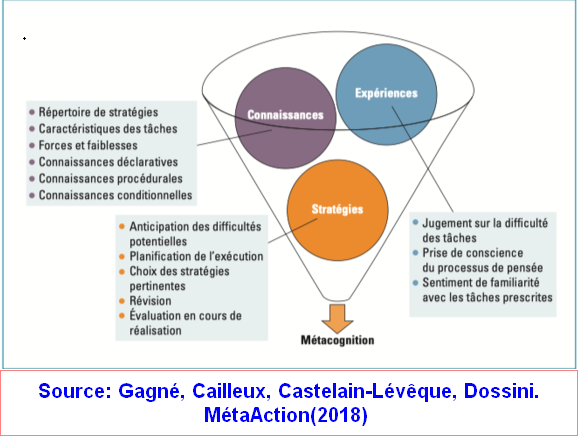 florencelebras's tweet photo. InfoLettre 5 : compétences métacognitives et stratégies pour apprendre https://t.co/ktMCyBGf9D https://t.co/sxYm697kdT