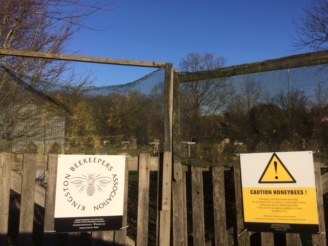 KingstonBeekeepers tweet media