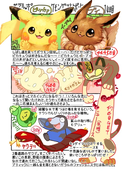 ガラルのポケモンゲットレポート14日目
暖房器具を手に入れた 冬越えも安心 
