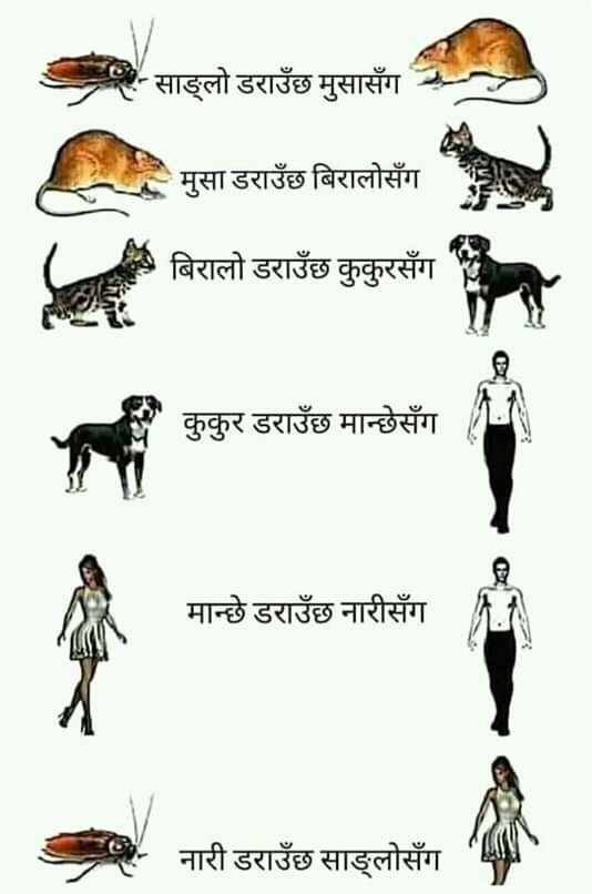 Sai ho ta kuro.